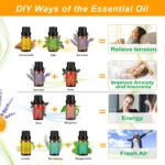 Aulaya Ätherische Öle Set 18 x 10 ml – Reine Aromatherapie-Öle für Diffuser & Wellness – Bild 4