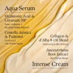 d'alba White Truffle Double Serum & Cream 60ml – 2-in-1 Intensivpflege für alle Hauttypen – Bild 5
