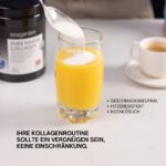 SEAGARDEN Marine Collagen Pulver 300g – Typ 1 Fischkollagen aus Wildkabeljau für Haut & Gelenke – Bild 5