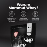 Mammut Nutrition Whey Protein Iced Coffee 1000g – 27g Protein pro Portion für Muskelaufbau – Bild 3