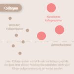 ORGAINIC Kollagen Pulver 700g – Typ 1&3 Hydrolysat aus Weidehaltung für Haut & Gelenke – Bild 4
