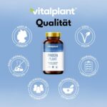 Vitalplant Prosta Plant Kapseln – Hochdosiertes Prostata-Präparat für Männer – Bild 8