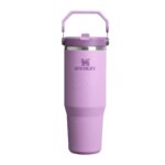 STANLEY 1913 IceFlow Flip Straw Tumbler 0.89L – Isolierflasche mit Strohhalm für 12+ Stunden Kühlung