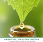 Air Wick Freshmatic Max Nachfüller Set 6 x 250 ml – Automatisches Raumspray mit natürlichen Düften – Bild 5