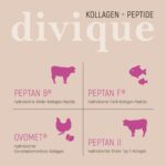Divique Kollagen Pulver 500g – Premium Complex Typ 1-10 mit 10.000 mg pro Portion – Bild 4