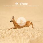 MAXDONE Wildkamera 4K 64MP mit WLAN & Bluetooth – Nachtsicht Bewegungsmelder für Wildtierbeobachtung – Bild 6