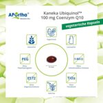 APOrtha Kaneka Ubiquinol CoQ10 100 mg – 60 vegetarische Kapseln mit patentiertem Rohstoff – Bild 3