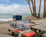 Mobicool MQ40W Elektrische Kühlbox 39L – Tragbar mit Rollen & Teleskopgriff für Auto & Camping – Bild 7