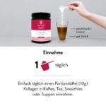 pureSGP® Kollagen 3x300g – Bioaktive Peptide mit Vitamin C & Biotin für Haut & Haare – Bild 6