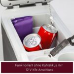 AEG Bordbar BK 6 – 12V Thermoelektrische Kühl- und Warmhaltebox 6L für Auto – Bild 8
