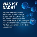 GREEN NATURALS NADH 75 mg – 150 Kapseln | Hochdosiertes Coenzym 1 für Energie & Vitalität – Bild 7