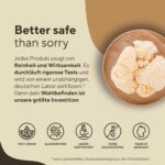 Lions Mane 360 Kapseln – 2000mg Hericium Erinaceus täglich – 30:1 Extrakt – Bild 7