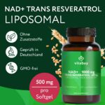 Vitabay Liposomales NAD+ 1000 mg mit Trans-Resveratrol – Hochdosiertes Energie-Supplement – Bild 3