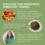 XbyX Peri Balance 90 g – Hormon-Balance für die Perimenopause mit Reishi & Mönchspfeffer – Bild 4