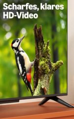 Amazon Ember 2 32-Zoll Smart-TV mit Fire TV – HD-Streaming & Alexa-Sprachsteuerung – Bild 4
