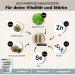 Prosta Plus Komplex – 540 vegane Kapseln mit Kürbiskern & Sägepalme für Männergesundheit – Bild 3