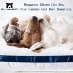 Slybear Kopfkissen 80x80 cm 2er Set – Orthopädisch & Atmungsaktiv für erholsamen Schlaf – Bild 5