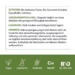 Bio Kurkuma Kapseln Phytholistic – 300 mg Curcuminoide – 40x höhere Bioverfügbarkeit – Bild 9