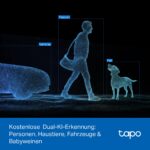 Tapo C245D Dual-Kamera 2K – Dual-Objektiv Überwachung mit kostenloser KI-Erkennung – Bild 7