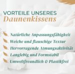 KNERST Daunenkissen 80x80 cm – 3-Kammer Kopfkissen Made in Germany mit ÖKO-TEX – Bild 6