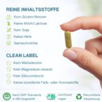 Berberin Phytosom 550mg mit Chrom – 10x höhere Absorption für Blutzuckerregulation, vegan, 60 Kapseln – Bild 5