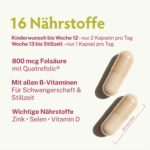 BabyFORTE FolsäurePlus – 180 vegane Kapseln mit 16 Nährstoffen für Kinderwunsch & Schwangerschaft – Bild 3