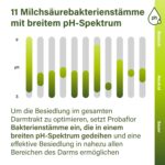 nupure Probaflor – 345 Mrd KBE/g mit 11 Bakterienstämmen & Inulin, 110 Kapseln – Bild 5