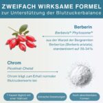 Berberin Phytosom 550mg mit Chrom – 10x höhere Absorption für Blutzuckerregulation, vegan, 60 Kapseln – Bild 4
