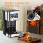 Taylor Swoden Darcy 950W Filterkaffeemaschine – 12 Tassen mit Timer & Warmhaltefunktion – Bild 8