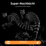 MAXDONE Wildkamera 4K 64MP mit Solar & WLAN – Nachtsicht Bewegungsmelder für Wildlife Monitoring – Bild 8
