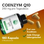 GREEN NATURALS Coenzym Q10 250 mg – 180 Kapseln aus Fermentation für 6 Monate – Bild 2