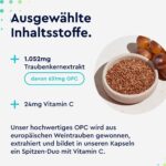 OPC Traubenkernextrakt 360 Kapseln mit Vitamin C – Zellschutz & Immunabwehr für 6 Monate – Bild 4