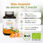 Bio Kurkuma Kapseln Phytholistic – 300 mg Curcuminoide – 40x höhere Bioverfügbarkeit – Bild 8