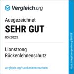 LIONSTRONG Auto Organizer Rücksitz schwarz – Wasserdichter Sitzschutz für alle Fahrzeuge – Bild 10