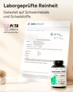 plantomol Spermidin MAX 6mg – Hochdosierte Kapseln für Zellerneuerung, 3 Monatsvorrat – Bild 4