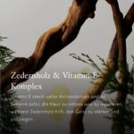 RITUALS Homme Duschschaum 3 x 200 ml mit Zedernholz & Vitamin E – Belebendes Duschgel-Vorteilspack für Herren – Bild 4