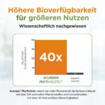 Bio Kurkuma Kapseln Phytholistic – 300 mg Curcuminoide – 40x höhere Bioverfügbarkeit – Bild 5