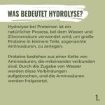 HANS Brainfood 1kg Bio Erbsenprotein 90% – Veganes Proteinpulver mit Optimalem Aminosäureprofil – Bild 7