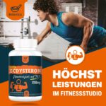 Solavica Beta-Ecdysteron 1200 mg – Trainings-Supplement mit 98 % Reinheit für Kraftsportler – Bild 5