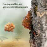 effective nature Akazienfaser Pulver Bio 1000 g – 83% Ballaststoffe für optimale Darmgesundheit – Bild 6