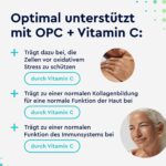 OPC Traubenkernextrakt 360 Kapseln mit Vitamin C – Zellschutz & Immunabwehr für 6 Monate – Bild 3
