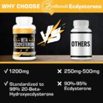 Beta-Ecdysteron 1200 mg mit 98% Reinheit – Kraft & Leistung für Sportler | 60 Kapseln – Bild 3