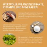 XbyX Ganz Gelassen 90g – Stress-Relief Pulver mit Ashwagandha & L-Theanin für mentale Balance – Bild 4
