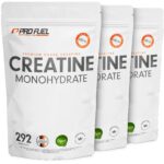 ProFuel Creatin Monohydrat Pulver 3kg – Mikronisiert, 100% Vegan, 876 Portionen