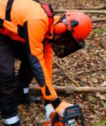 Oregon Yukon Kettensägen-Sicherheitshelm mit Gehörschutz & Netzvisier – Bild 2
