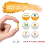 2x VROODY Weihrauchkapseln 500mg Boswellia + Curcuma – Hochdosiert vegan – Bild 4