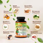 Nutrifox® Vital Plus Blutzucker Kapseln – 120 Stück für 2 Monate Stoffwechselunterstützung – Bild 4