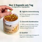 Omega D3 K2 Kapseln hochdosiert – Premium Fischöl mit EPA & DHA für Herz, Knochen & Immunsystem – Bild 2