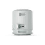 Sony SRS-XB100 Bluetooth-Lautsprecher – Tragbar, IP67 wasserdicht, 16h Akku – Bild 10