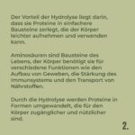 HANS Brainfood 1kg Bio Erbsenprotein 90% – Veganes Proteinpulver mit Optimalem Aminosäureprofil – Bild 8
